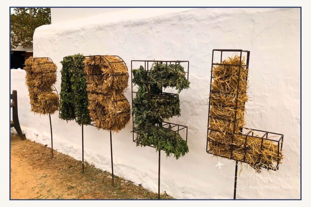 Letters of Straw spell out Babel, the signature restaurant of Babylonstoren, Stellenbosch. 