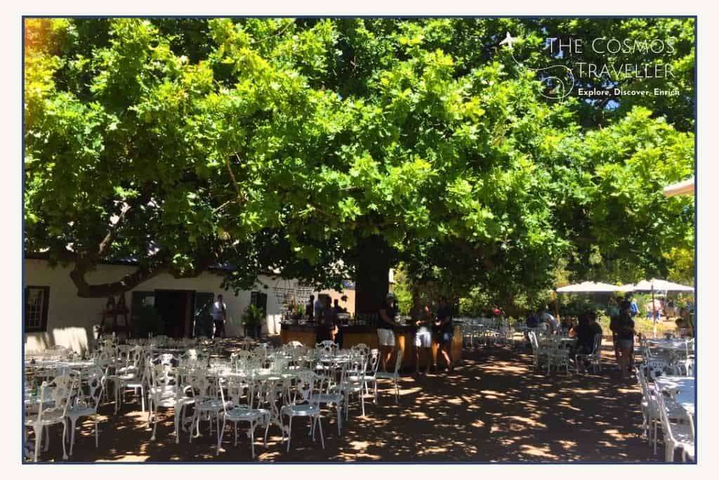 White tables and chairs are laid out beneath an enormous tree. Below the tree, people stand tasting wine.