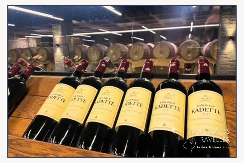 Red wine bottles lined up in a row at Kanonkop winery