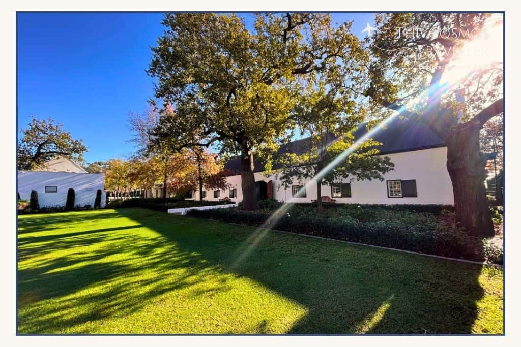 The sun peaks out through the trees above this Stellenbosch wine estate. 