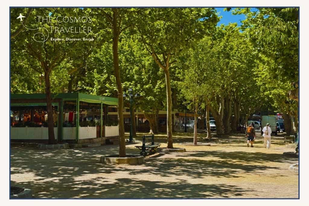 Place des Lices in Saint-Tropez, shaded by large plane trees, offers a peaceful spot in the heart of town.