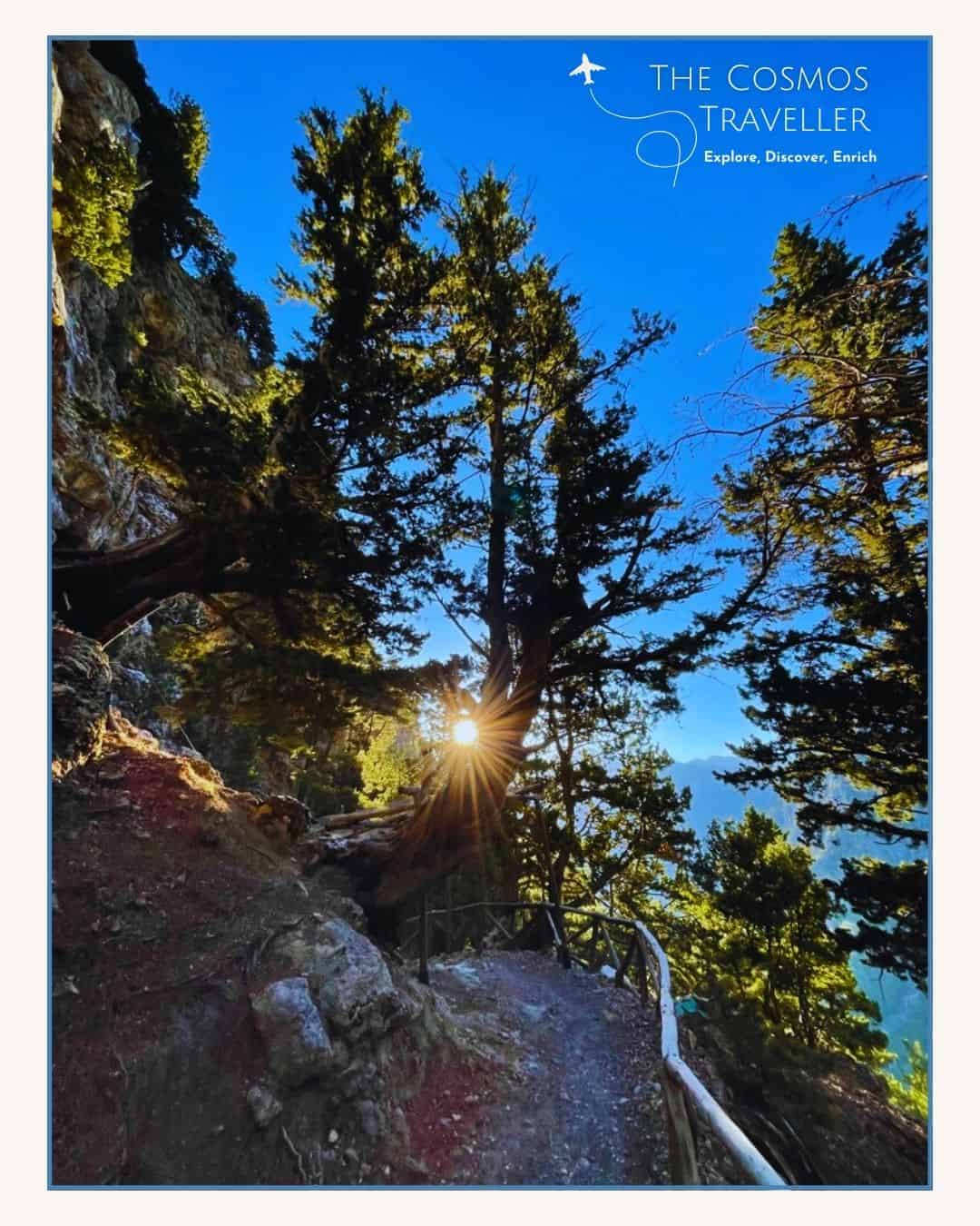 Sunrise filtering through trees at the start of the Samaria Gorge hike in Crete.
