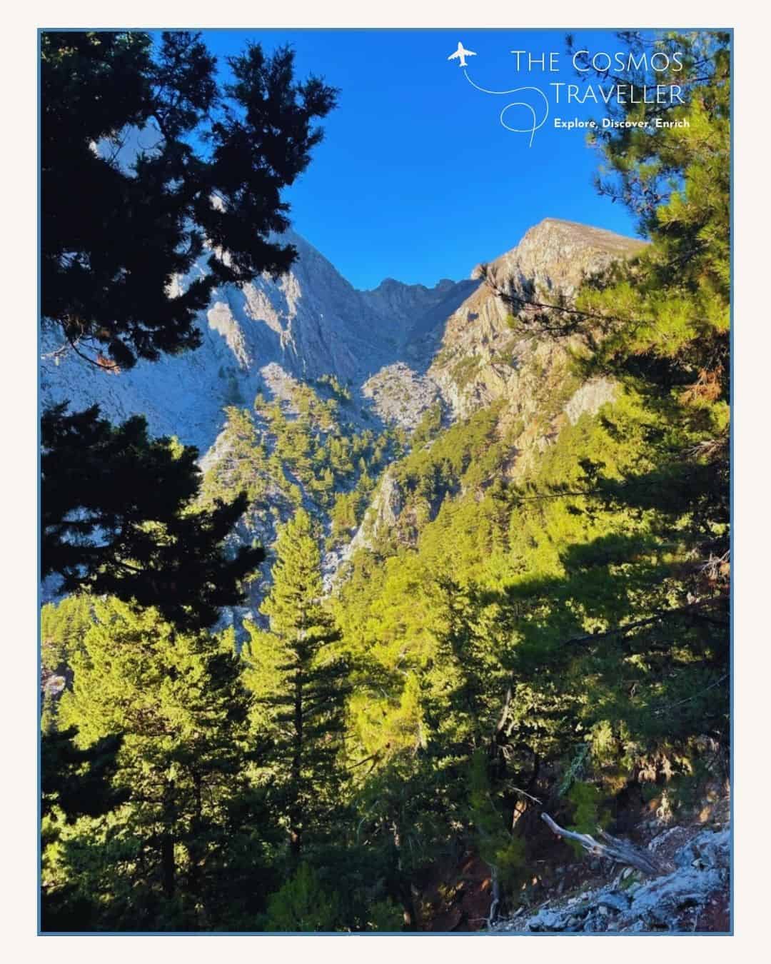 Early morning sun illuminating green trees and rugged mountains on stage 1 of the Samaria Gorge hike.
