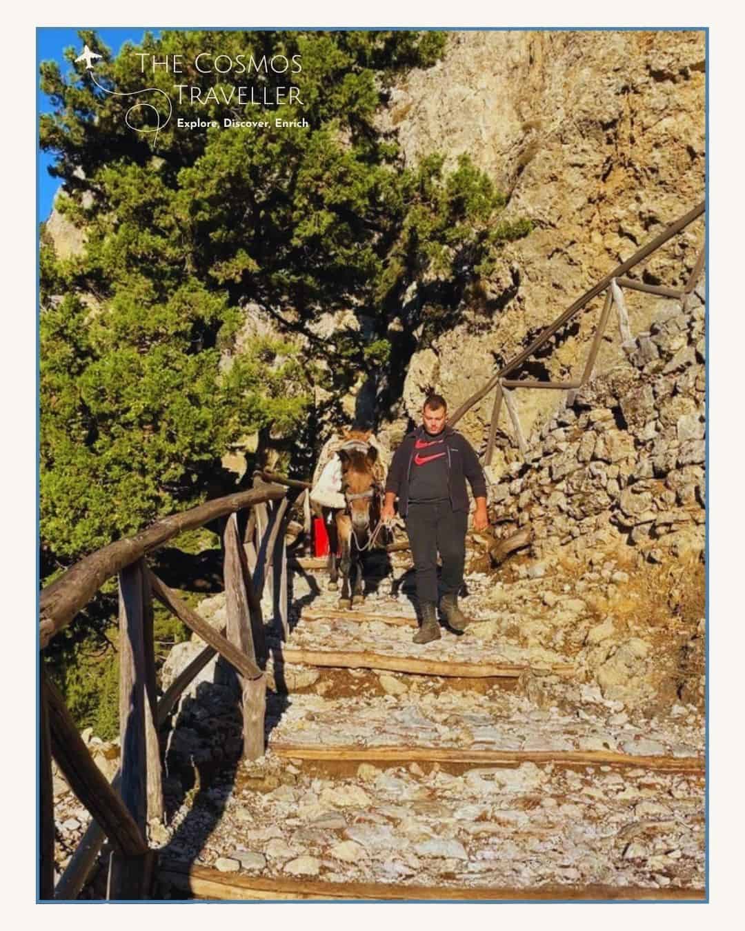 Man leading a donkey down stone steps at the start of the Samaria Gorge trail in Crete.