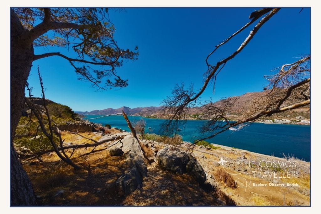 Typical Cretan coastal view with olive trees, rugged mountains, and deep blue sea under a clear sky.