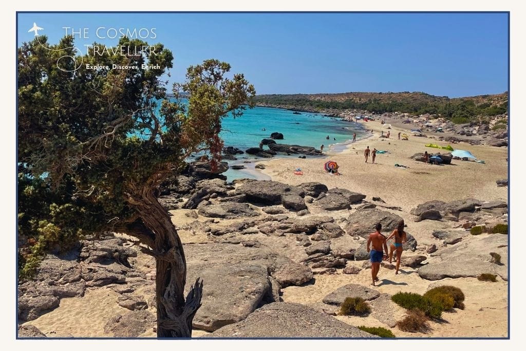 Tree framing view of Kedrodasos Beach in Crete, with turquoise sea, rocky shoreline, and soft white sand.