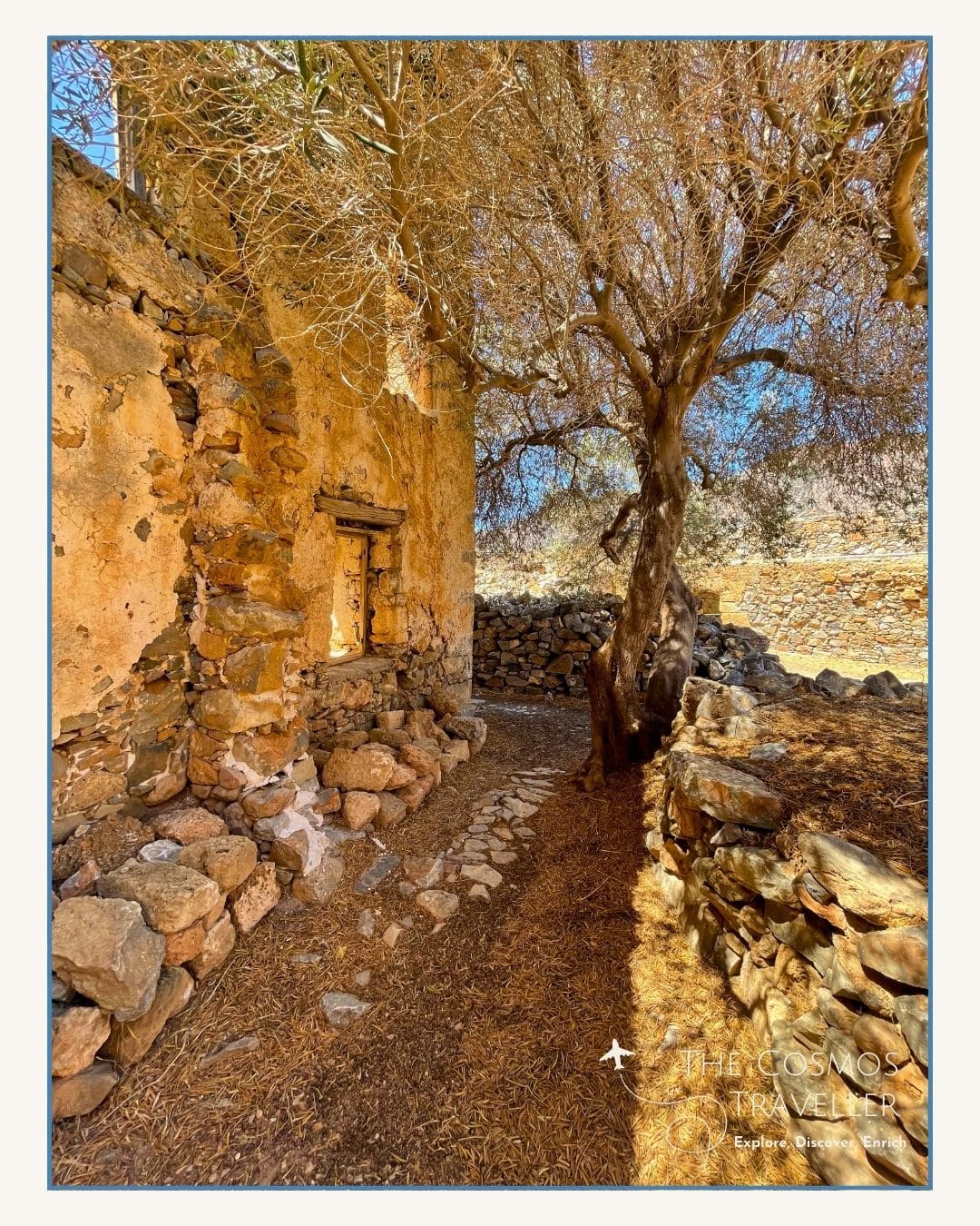 Olive tree beside an abandoned stone house on Spinalonga Island