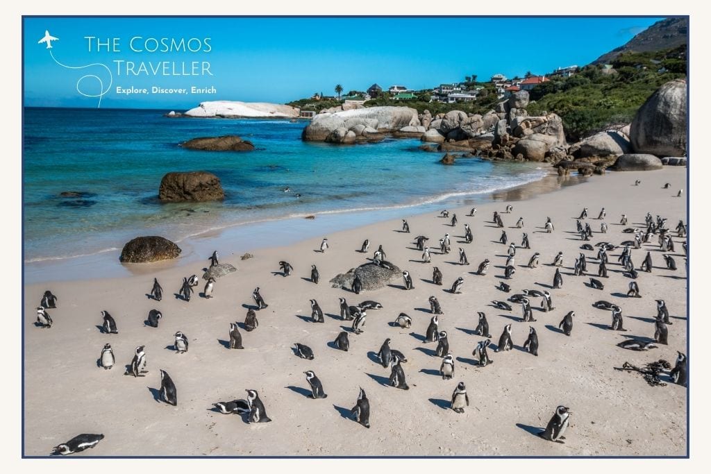 Boulders Beach in Simon’s Town with sheltered coves and penguins