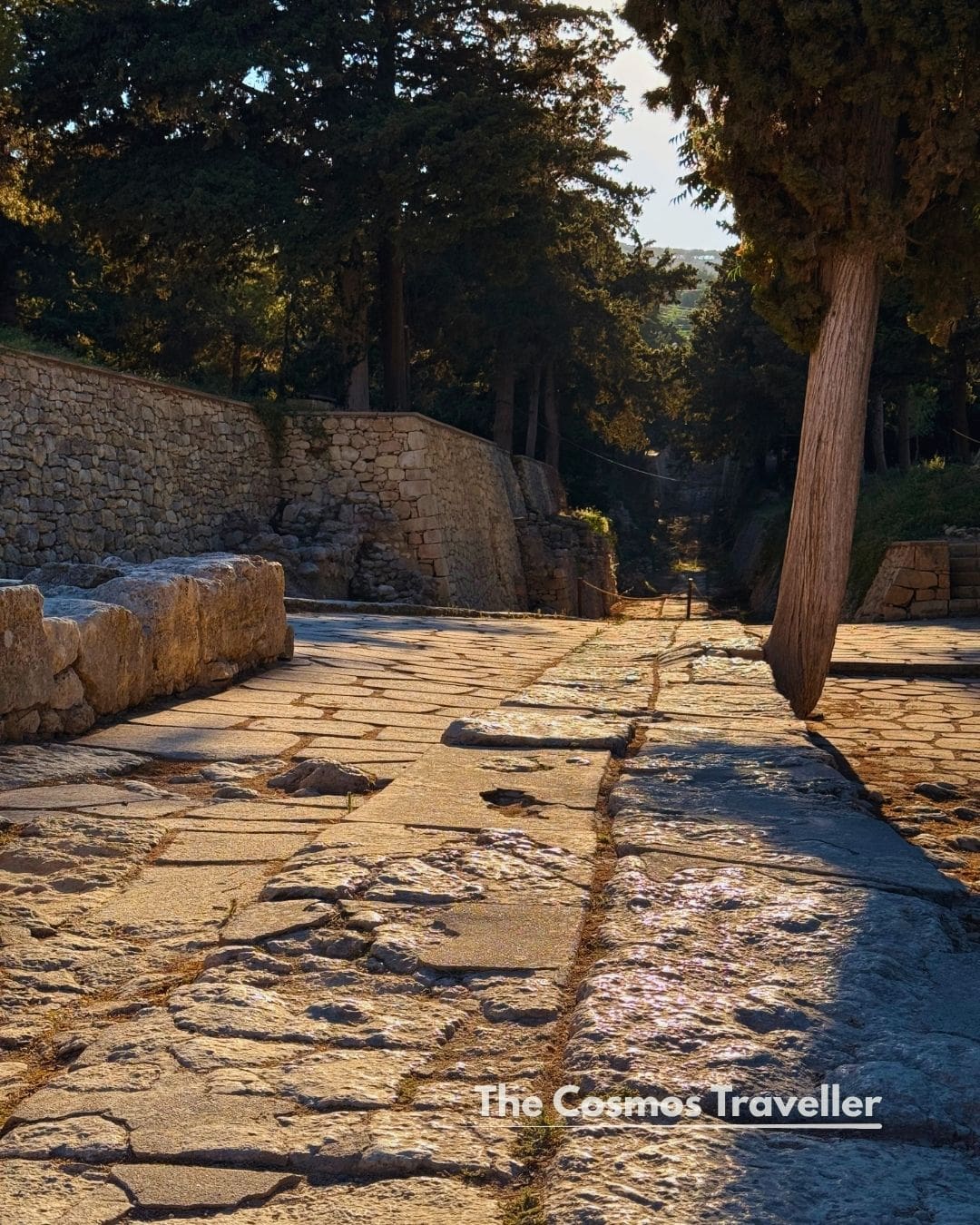 The ancient Minoan Royal Road at Knossos, lined with trees in golden light